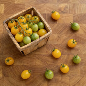 Limoncito, (F1) Tomato Seeds